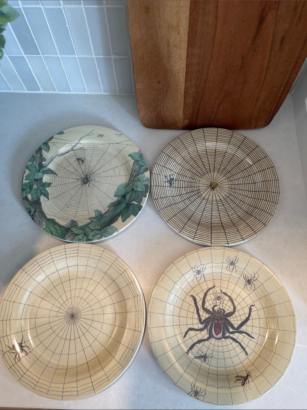 Limited Edition John Derian for Target Spiderweb Melamine Dessert Plate Set of 4